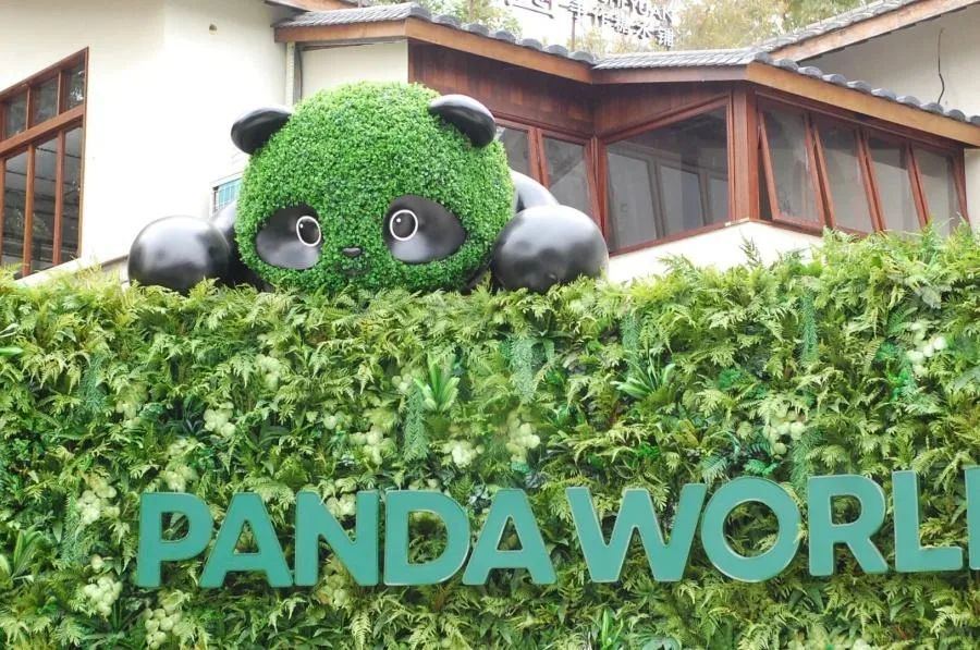 福州熊猫世界内景首次曝光，期待值拉满！