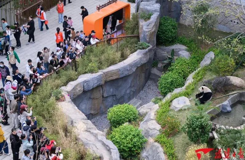 文旅“大餐”开席！邀您马上过个“闽式福年”