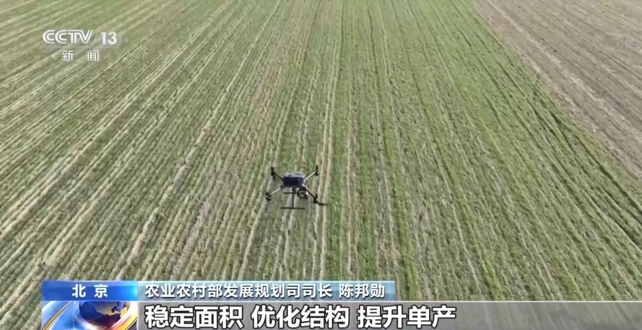 视频丨推进乡村全面振兴 今年我国将部署这些工作