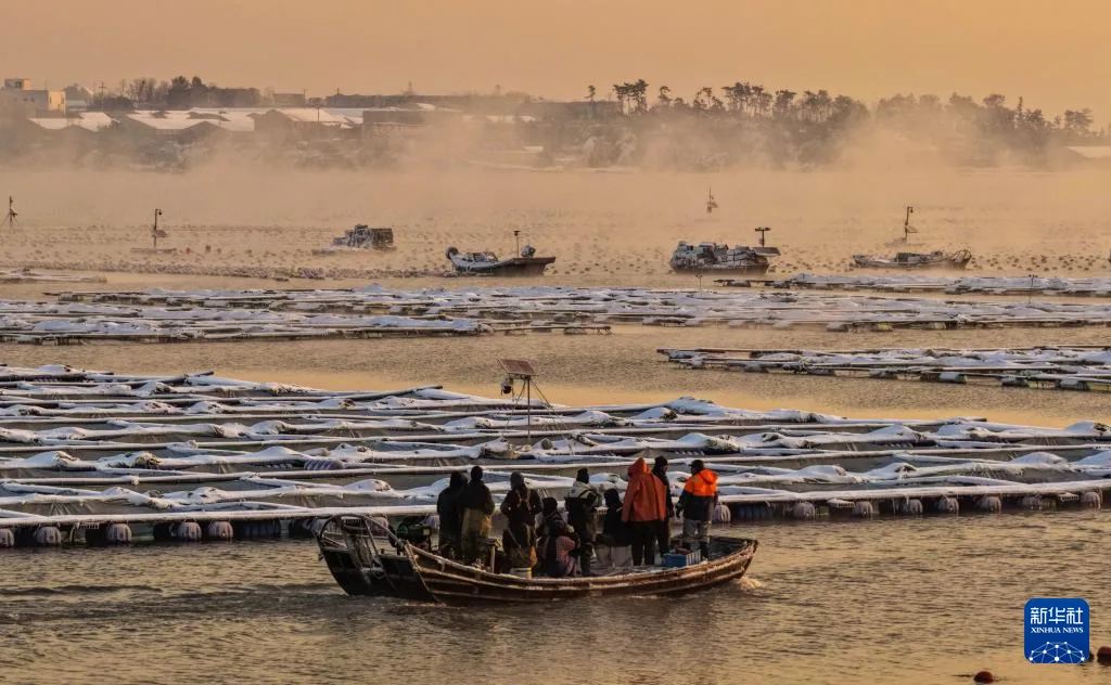 山东荣成：雪后海湾出现“海浩”景观