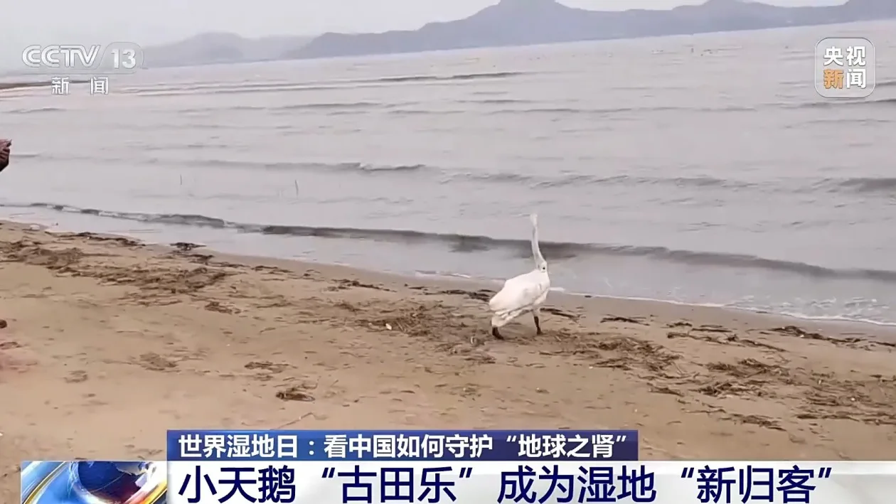 科技赋能 看中国如何守护“地球之肾”